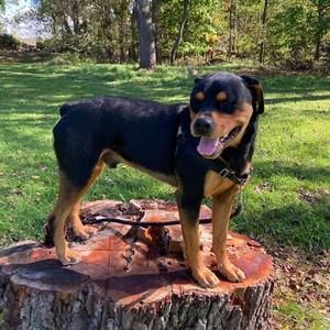 Meet your Posher, Lynn